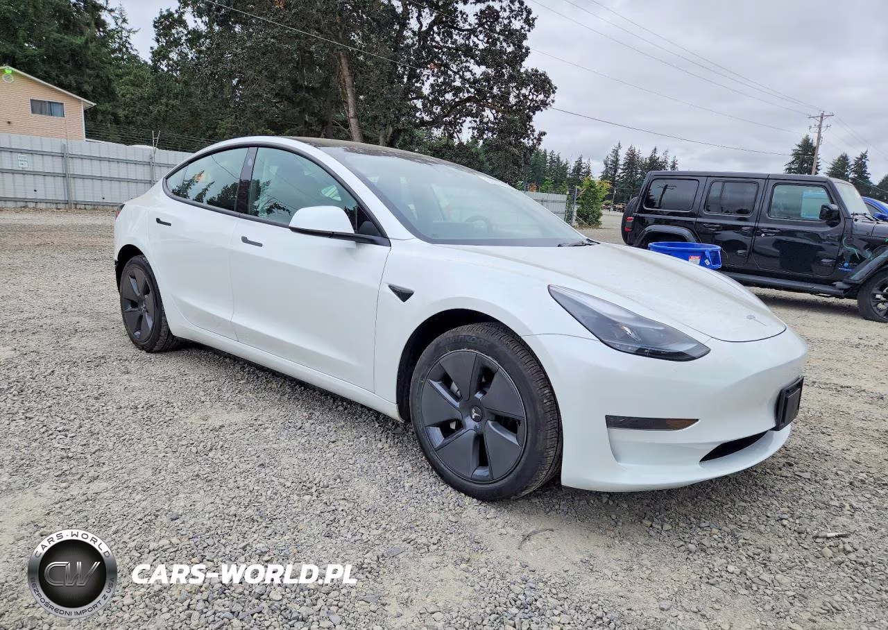 2023 Tesla Model 3 VIN:5YJ3E1EA4PF542333 - 4