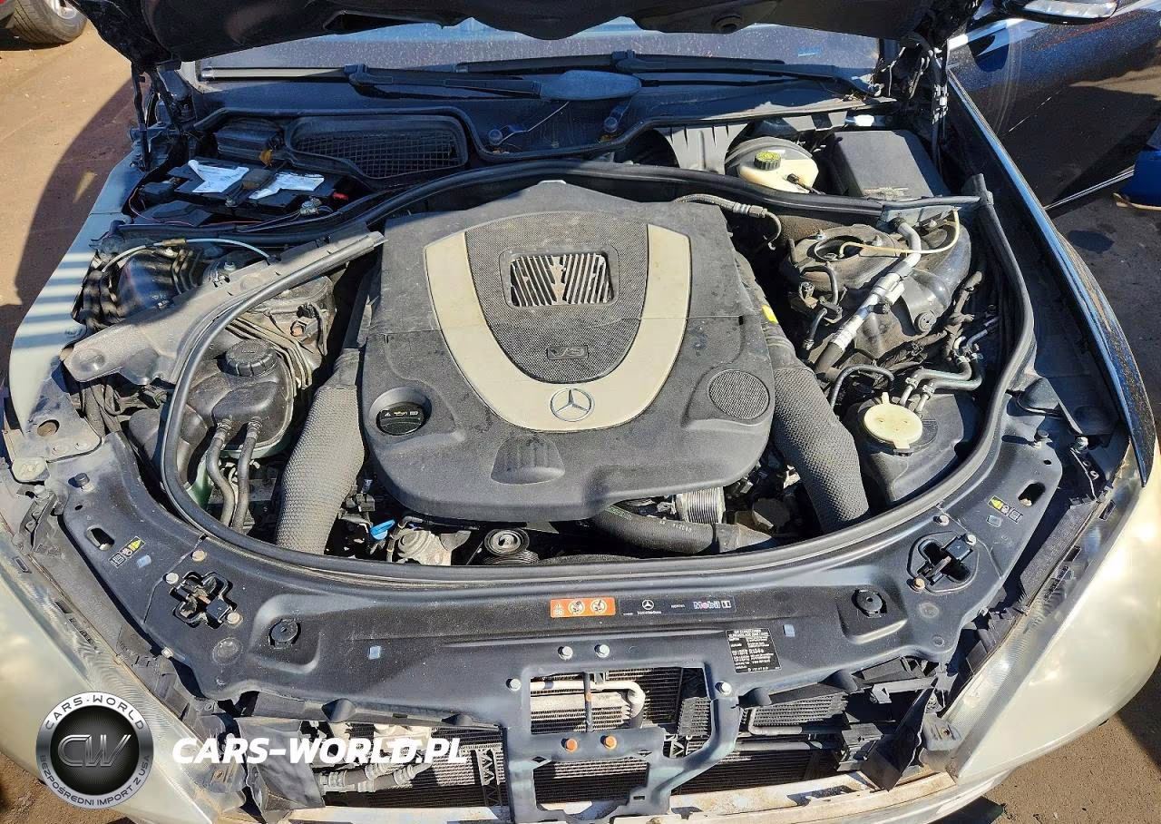 2009 Mercedes-Benz S 550 VIN:WDDNG71X69A260194 - 11