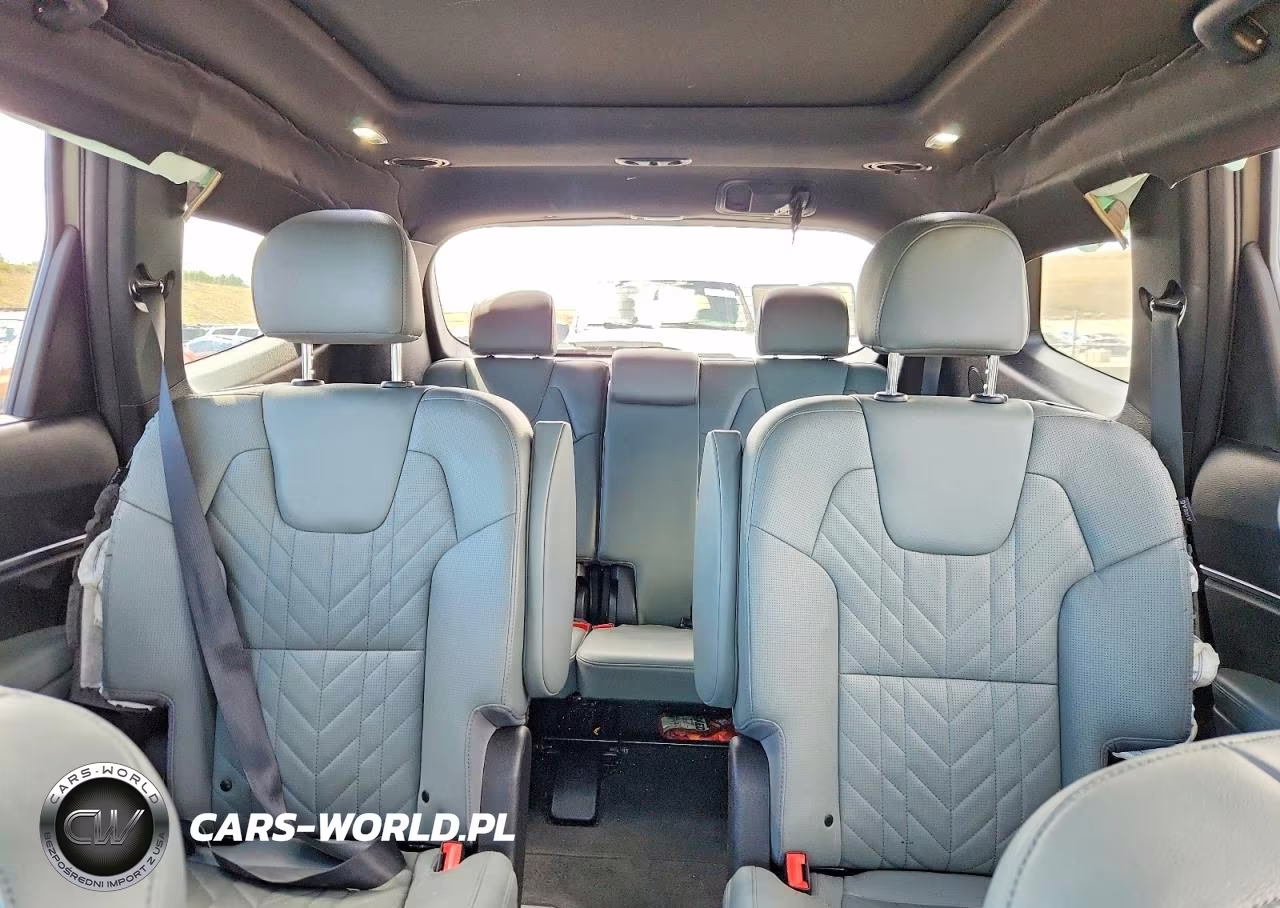 2024 Kia Telluride Sx X-Pro VIN:5XYP5DGC3RG450188 - 10