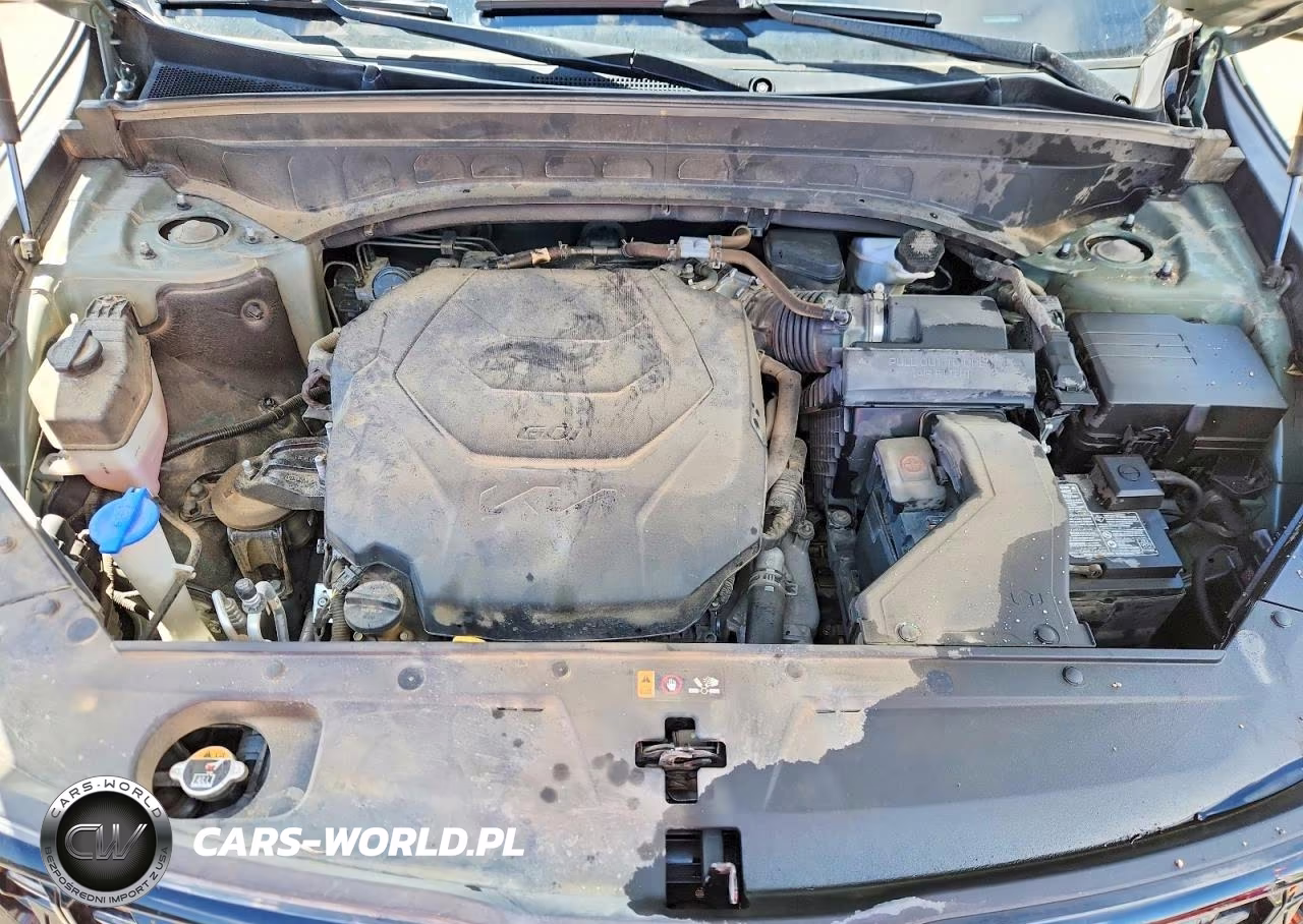 2024 Kia Telluride Sx X-Pro VIN:5XYP5DGC3RG450188 - 12