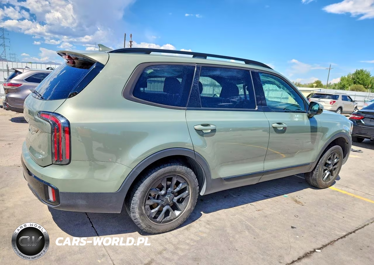 2024 Kia Telluride Sx X-Pro VIN:5XYP5DGC3RG450188 - 3