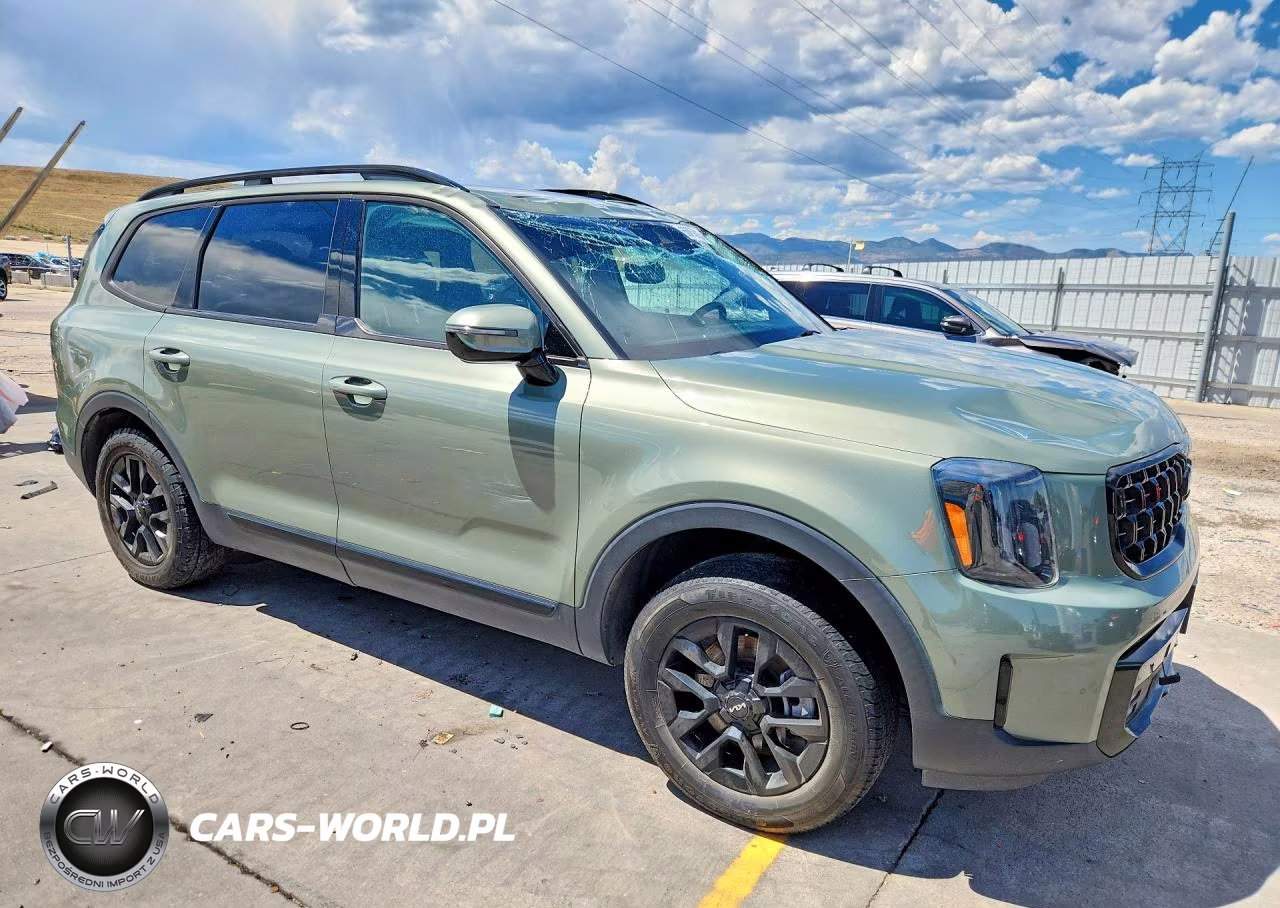 2024 Kia Telluride Sx X-Pro VIN:5XYP5DGC3RG450188 - 4