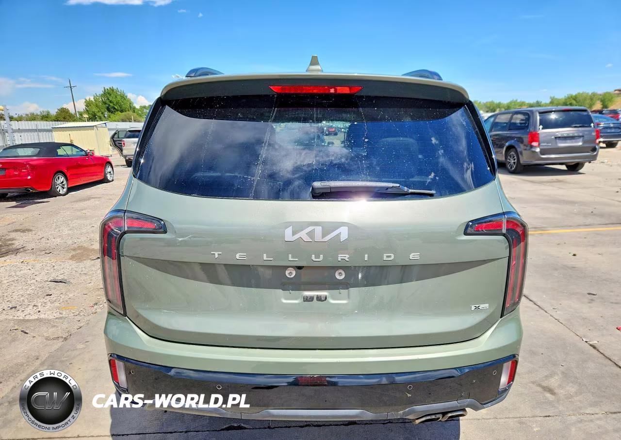 2024 Kia Telluride Sx X-Pro VIN:5XYP5DGC3RG450188 - 6