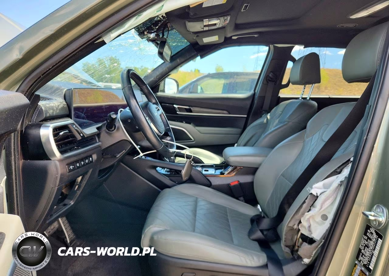 2024 Kia Telluride Sx X-Pro VIN:5XYP5DGC3RG450188 - 7