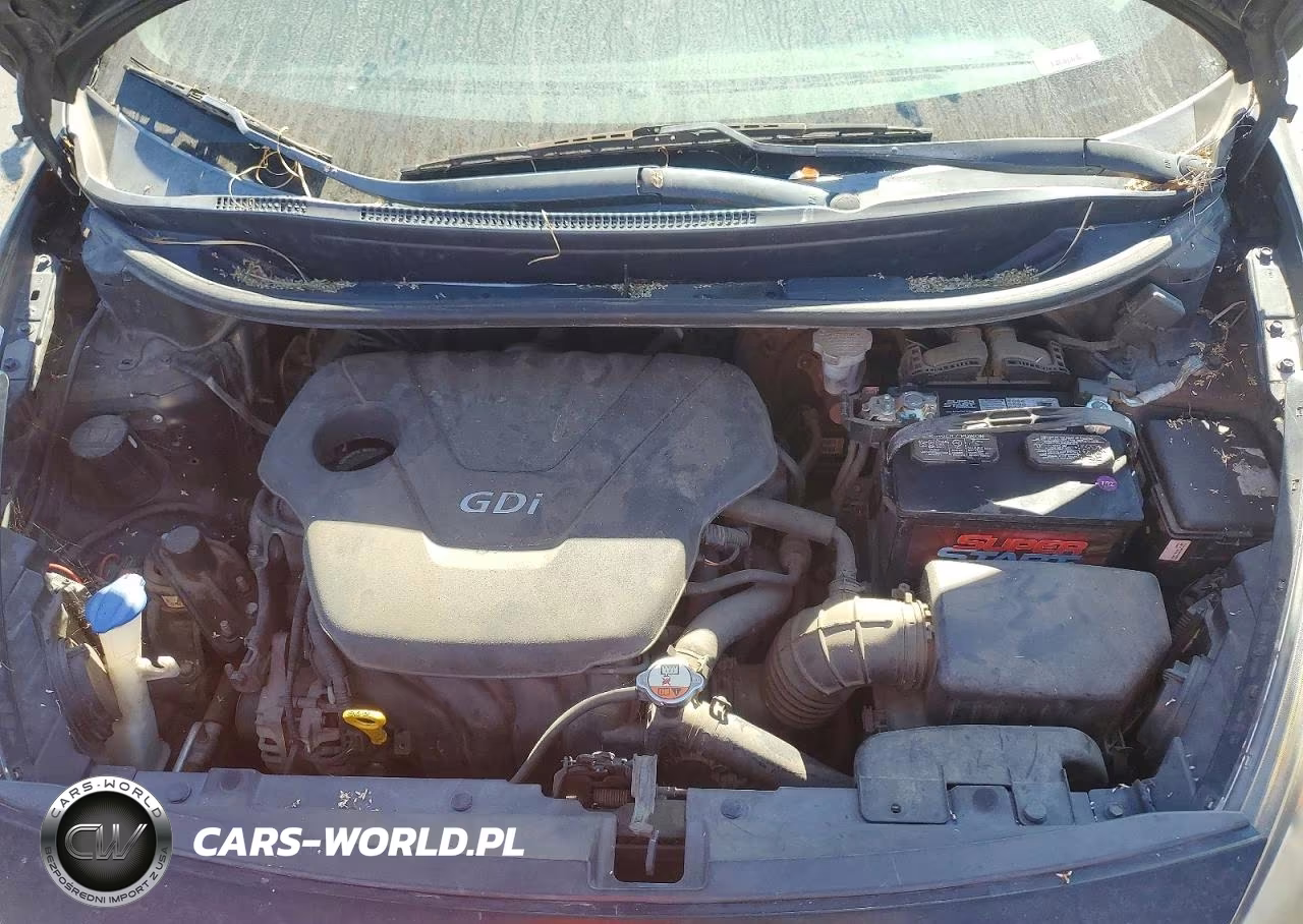 2014 Kia Rio Lx VIN:KNADM5A32E6346368 - 11