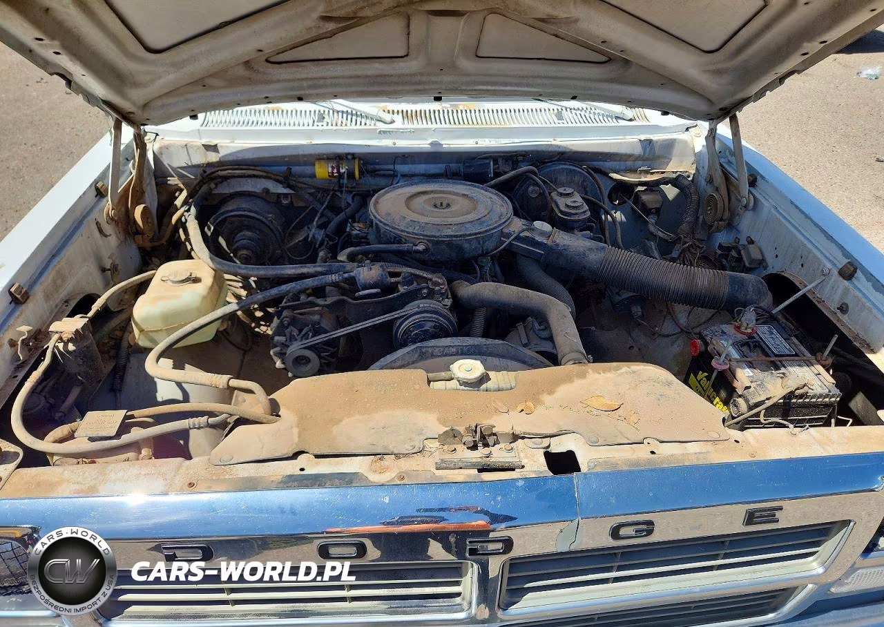 1991 Dodge D-Series D150 VIN:1B7GE16Y3MS264584 - 11