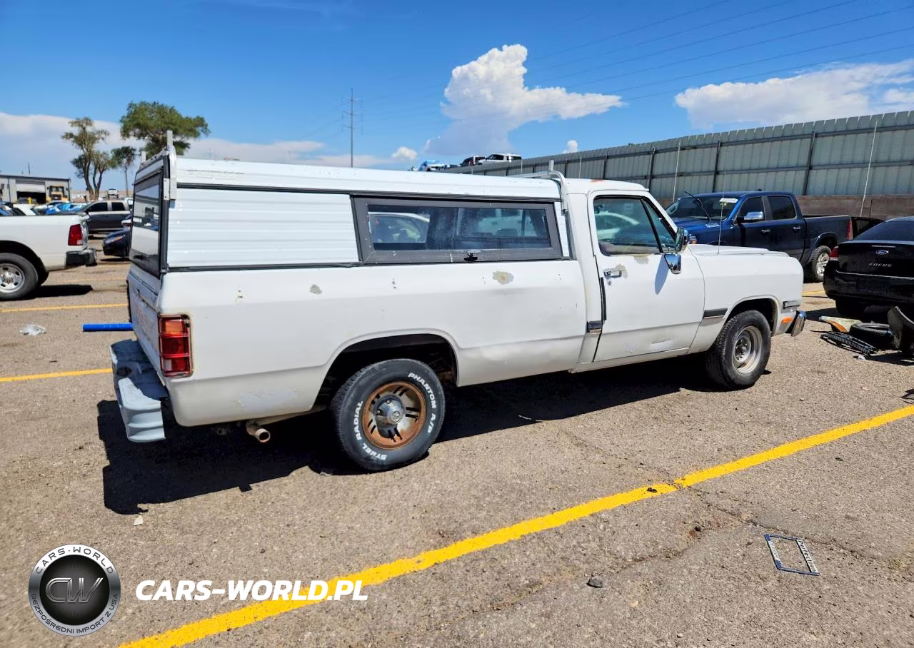 1991 Dodge D-Series D150 VIN:1B7GE16Y3MS264584 - 3