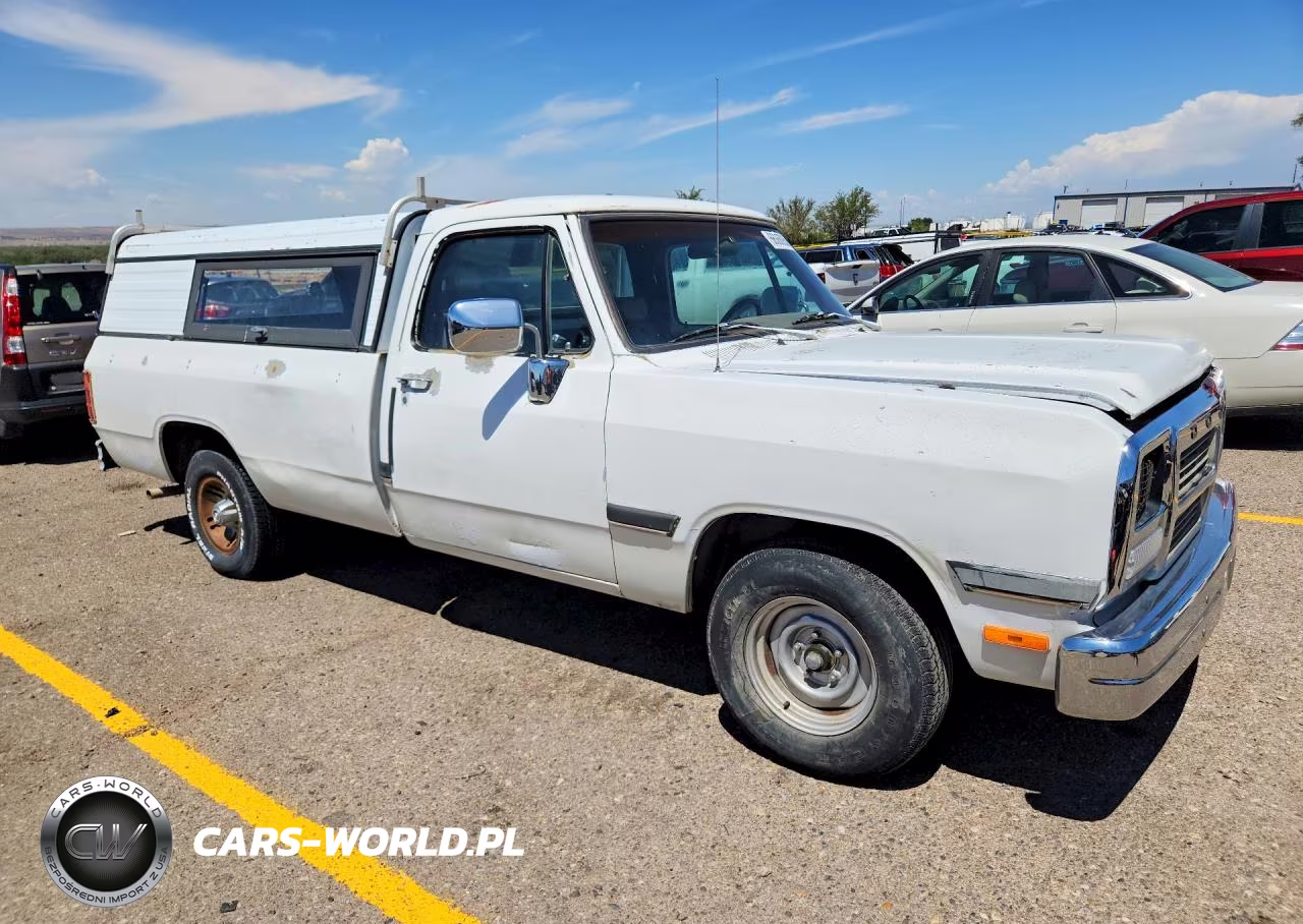 1991 Dodge D-Series D150 VIN:1B7GE16Y3MS264584 - 4