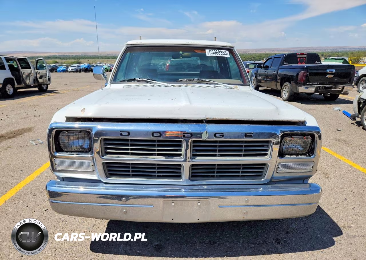 1991 Dodge D-Series D150 VIN:1B7GE16Y3MS264584 - 5