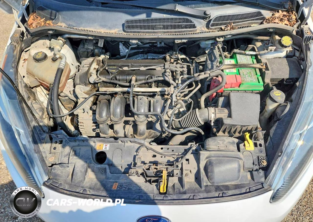 2014 Ford Fiesta Se VIN:3FADP4BJ6EM136217 - 11