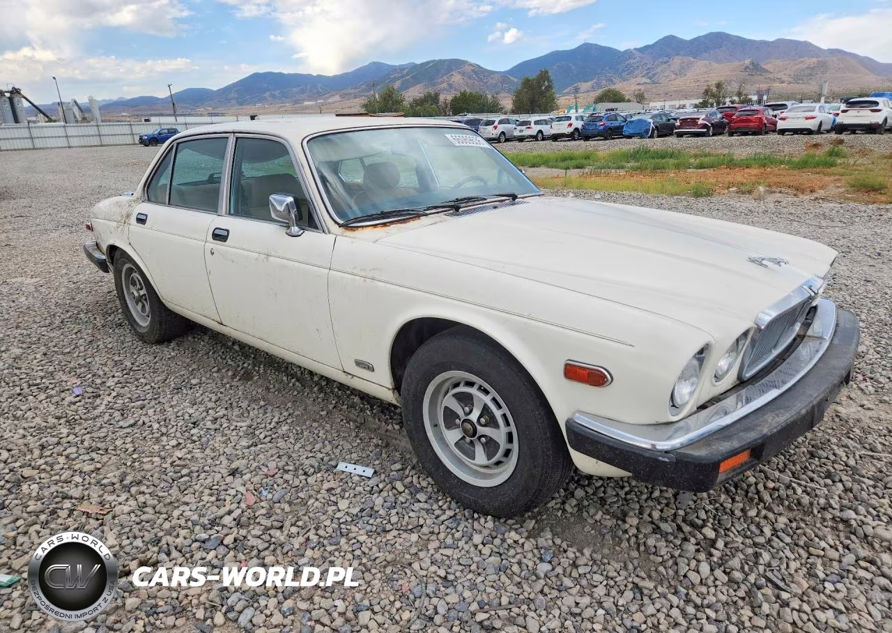 1986 Jaguar Xj6 VIN:SAJAV1343GC436880 - 4