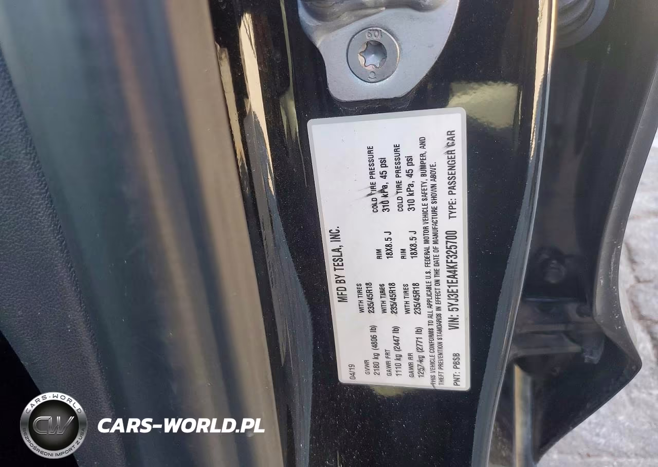 2019 Tesla Model 3 VIN:5YJ3E1EA4KF325700 - 12