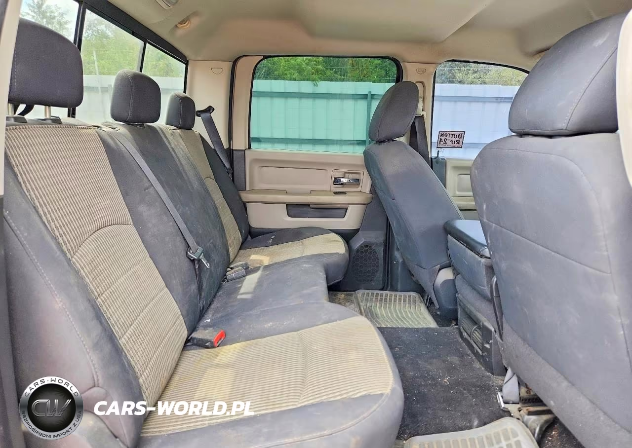 2010 Dodge Ram 1500 VIN:1D7RB1CP1AS247782 - 10