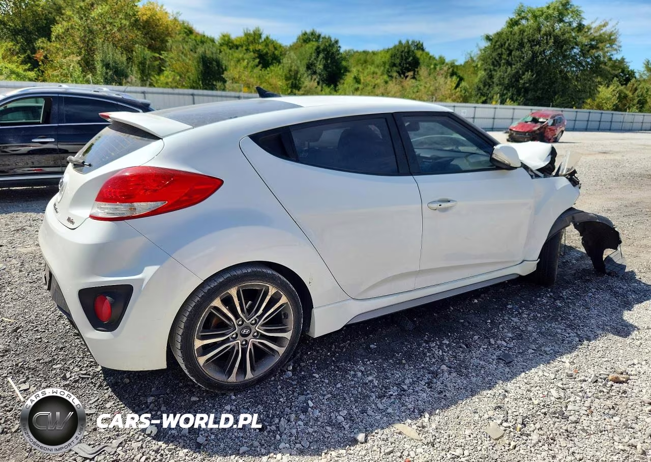 2016 Hyundai Veloster Turbo VIN:KMHTC6AE3GU285504 - 3