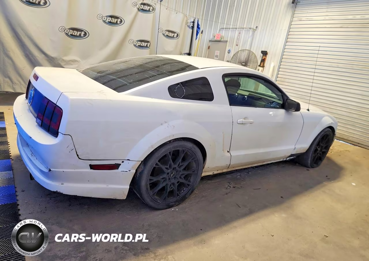2005 Ford Mustang VIN:1ZVFT80N155152369 - 3