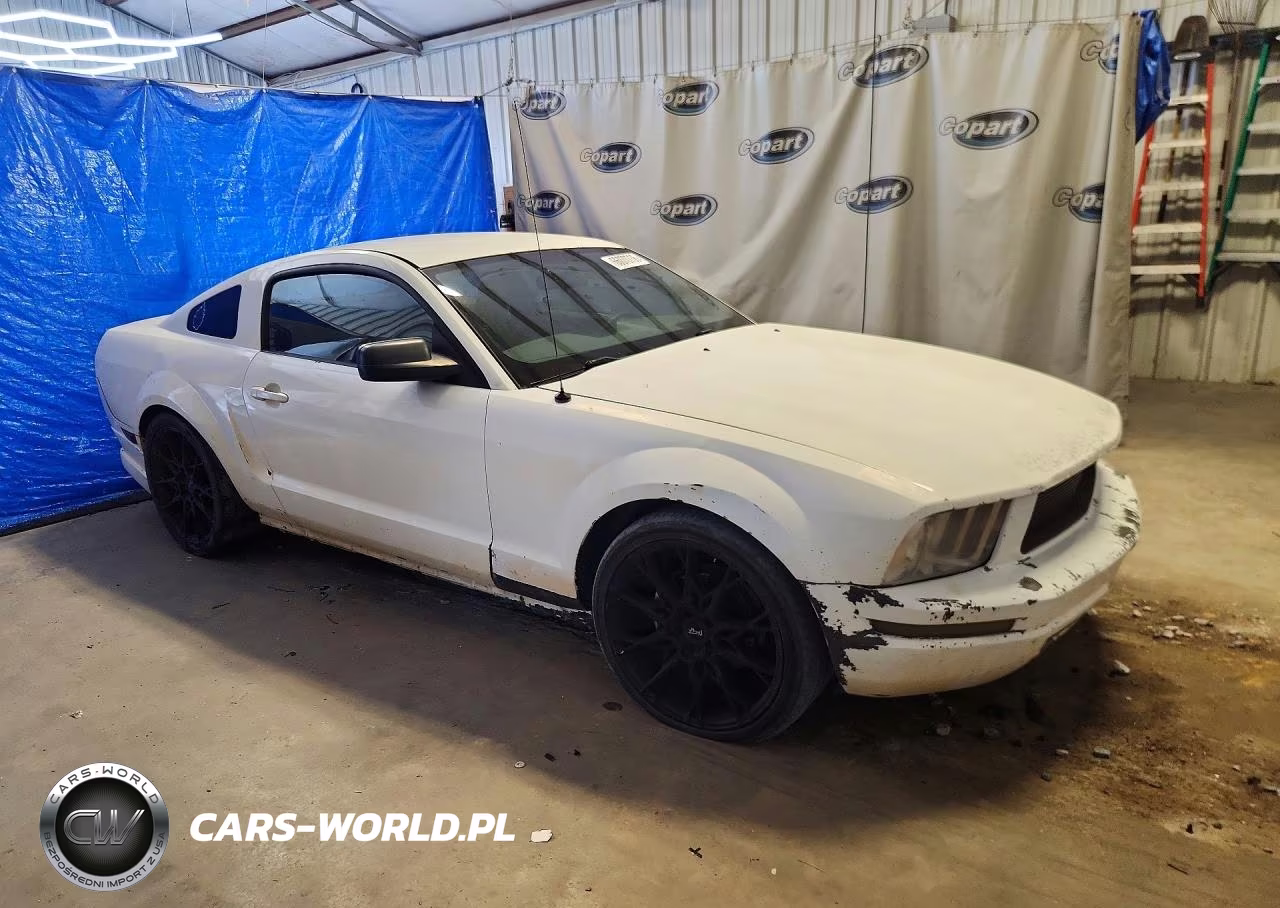 2005 Ford Mustang VIN:1ZVFT80N155152369 - 4