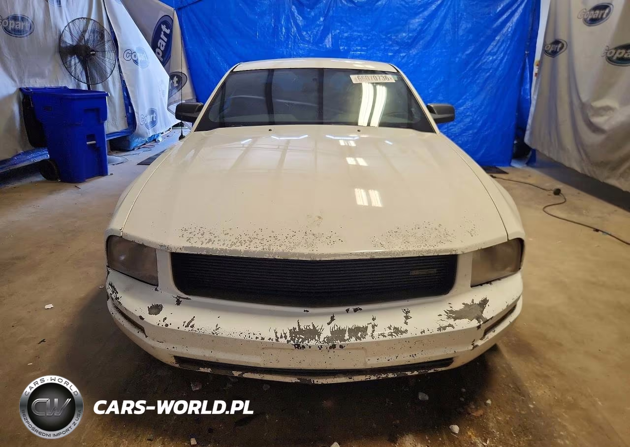 2005 Ford Mustang VIN:1ZVFT80N155152369 - 5