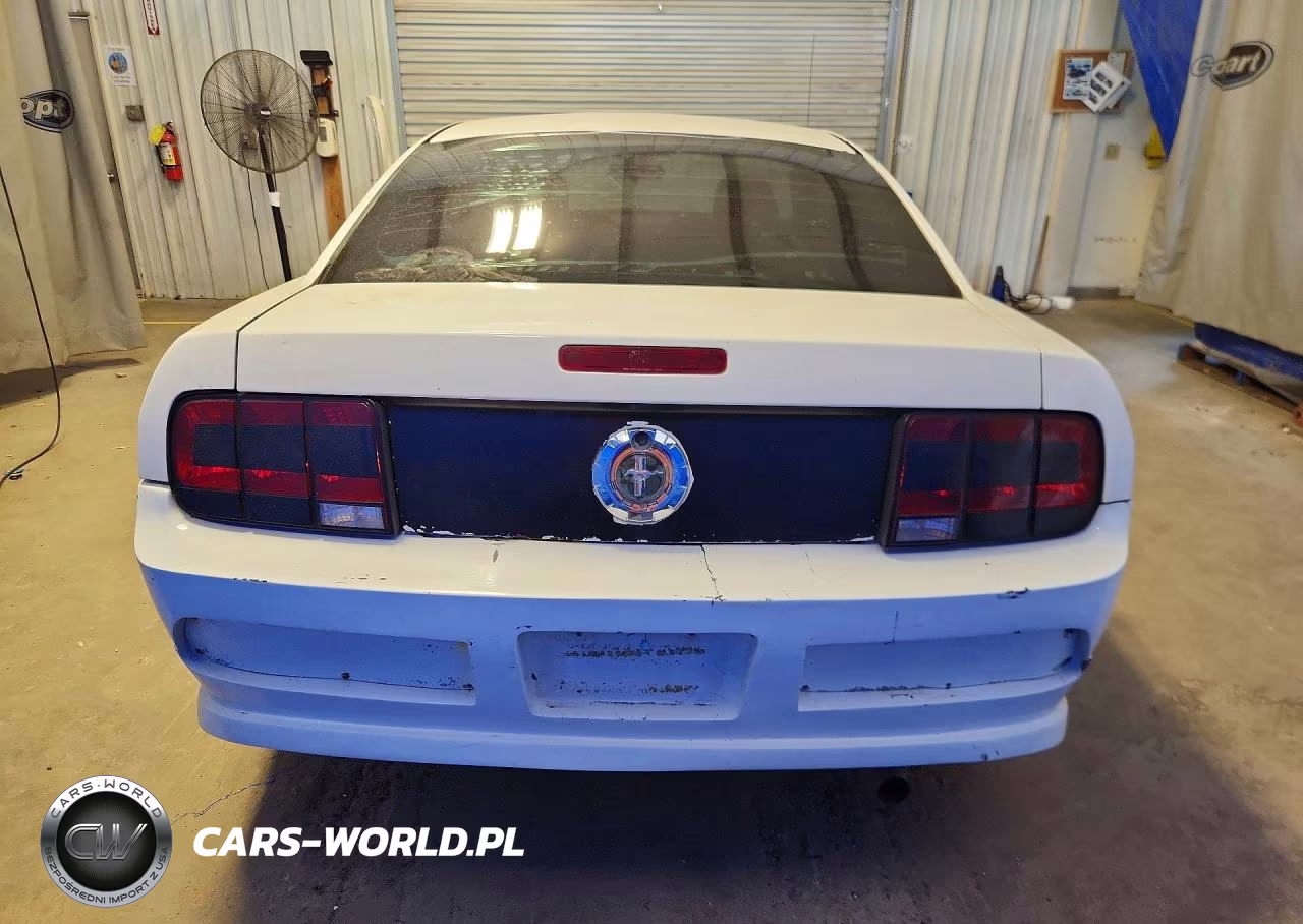 2005 Ford Mustang VIN:1ZVFT80N155152369 - 6