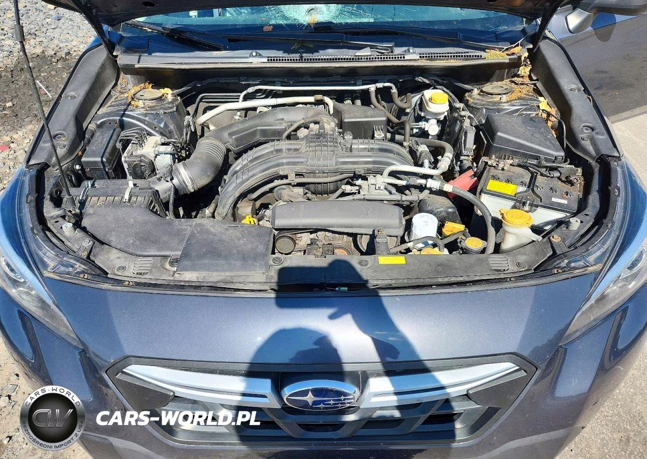 2021 Subaru Crosstrek Premium VIN:JF2GTAPC9M8299668 - 11