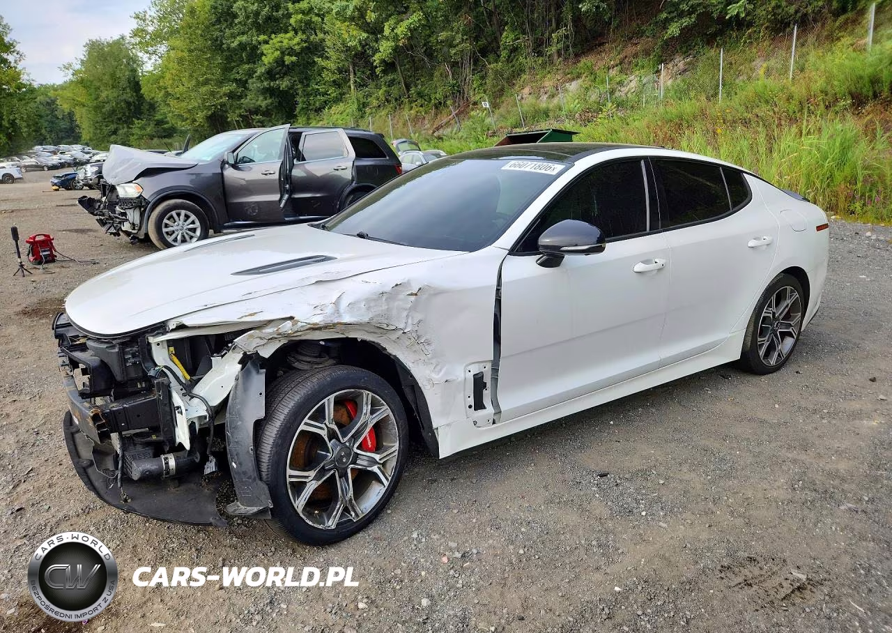 2019 Kia Stinger Gt2 VIN:KNAE55LC9K6044506 - 1
