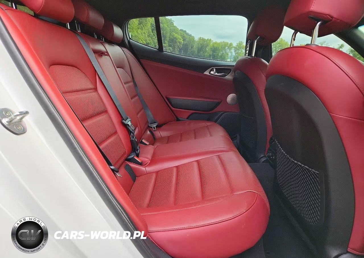 2019 Kia Stinger Gt2 VIN:KNAE55LC9K6044506 - 10