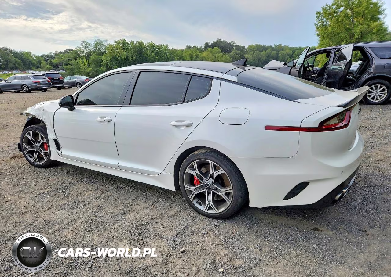 2019 Kia Stinger Gt2 VIN:KNAE55LC9K6044506 - 2