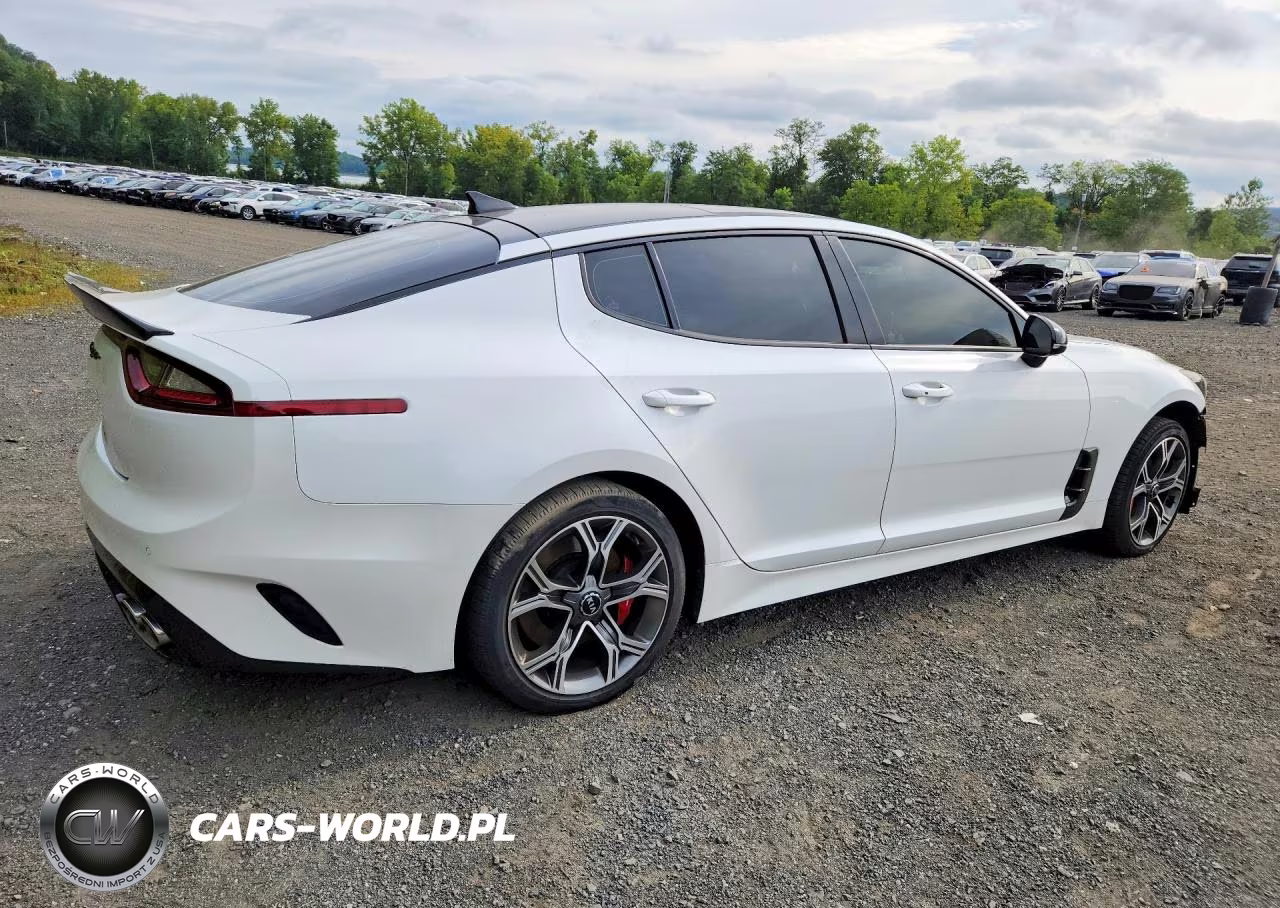 2019 Kia Stinger Gt2 VIN:KNAE55LC9K6044506 - 3