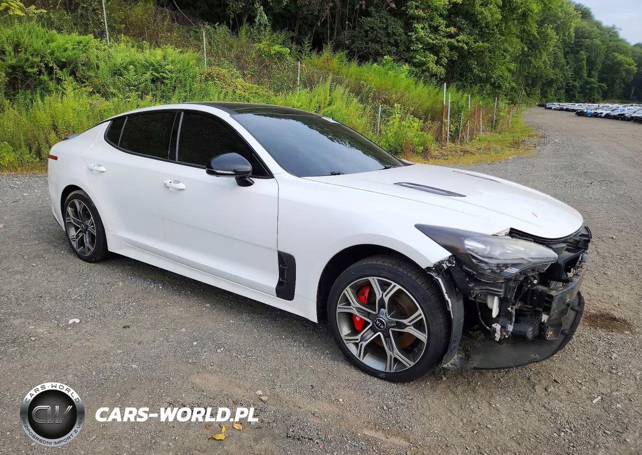 2019 Kia Stinger Gt2 VIN:KNAE55LC9K6044506 - 4