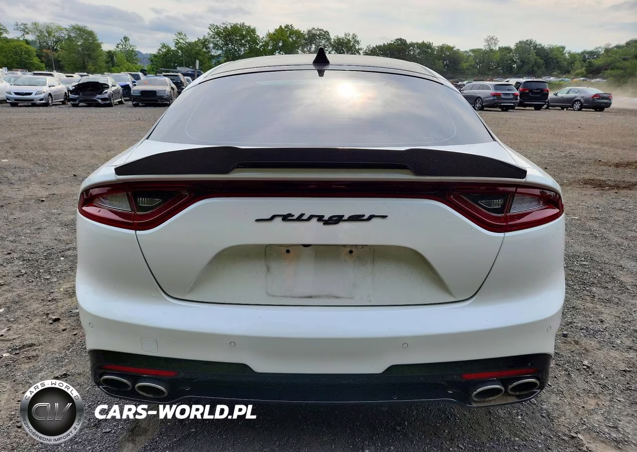 2019 Kia Stinger Gt2 VIN:KNAE55LC9K6044506 - 6