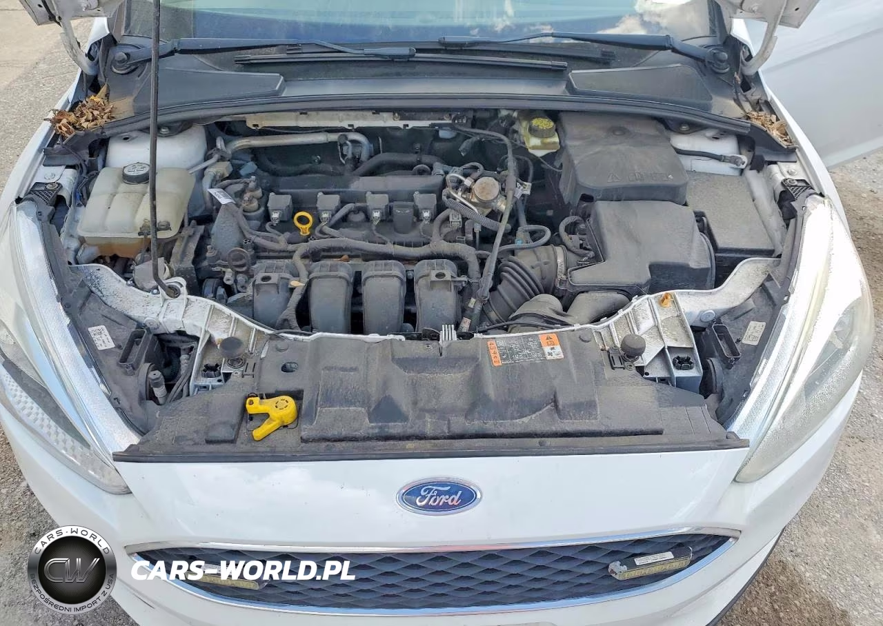 2017 Ford Focus Se VIN:1FADP3K29HL247353 - 11