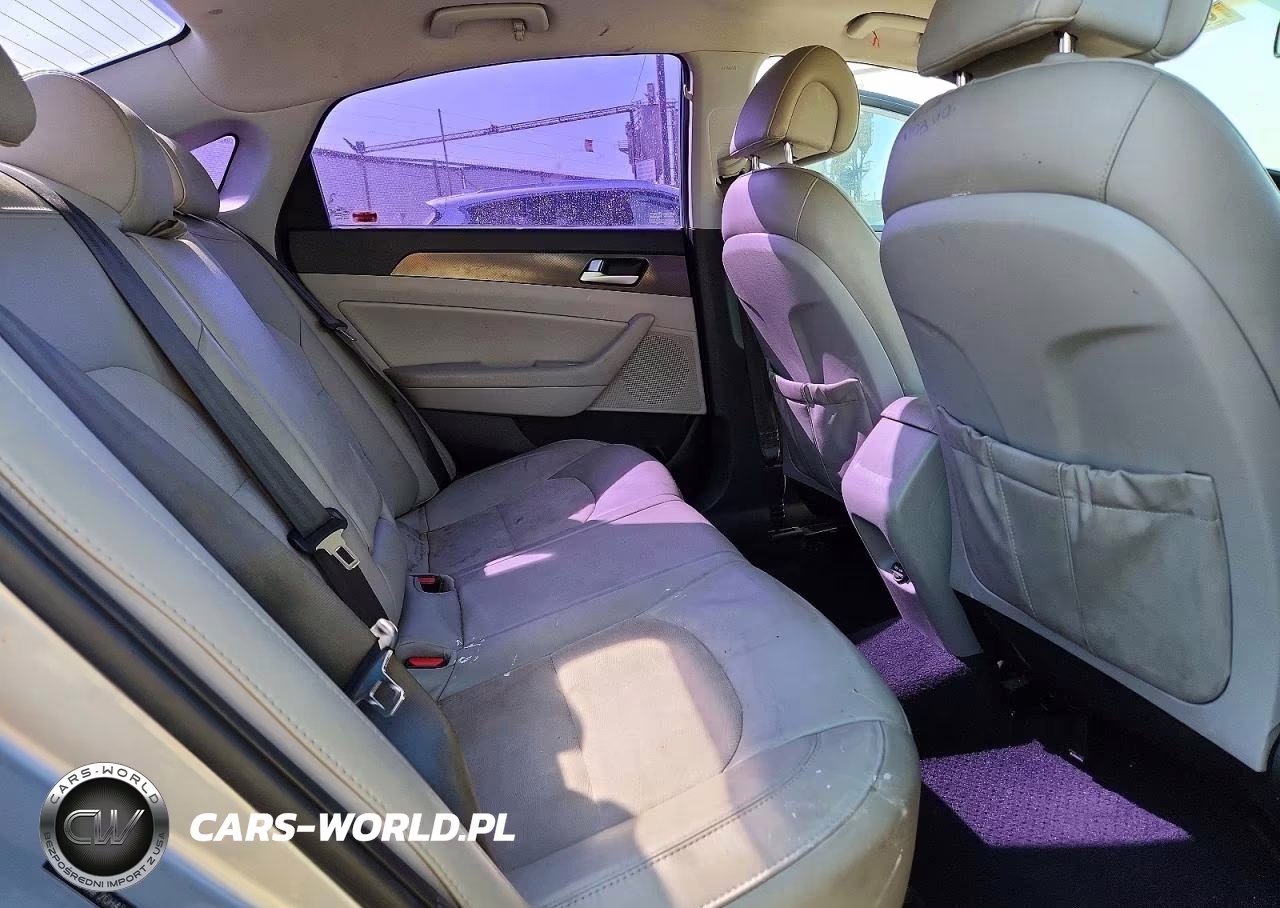 2016 Hyundai Sonata Sport VIN:5NPE34AF2GH423148 - 10