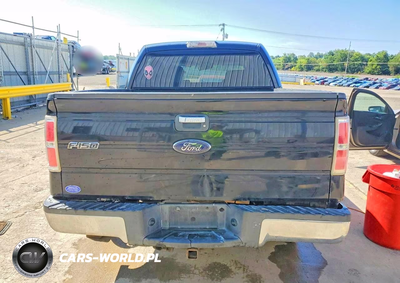 2009 Ford F150 Supercrew VIN:1FTRW12899FA23110 - 6