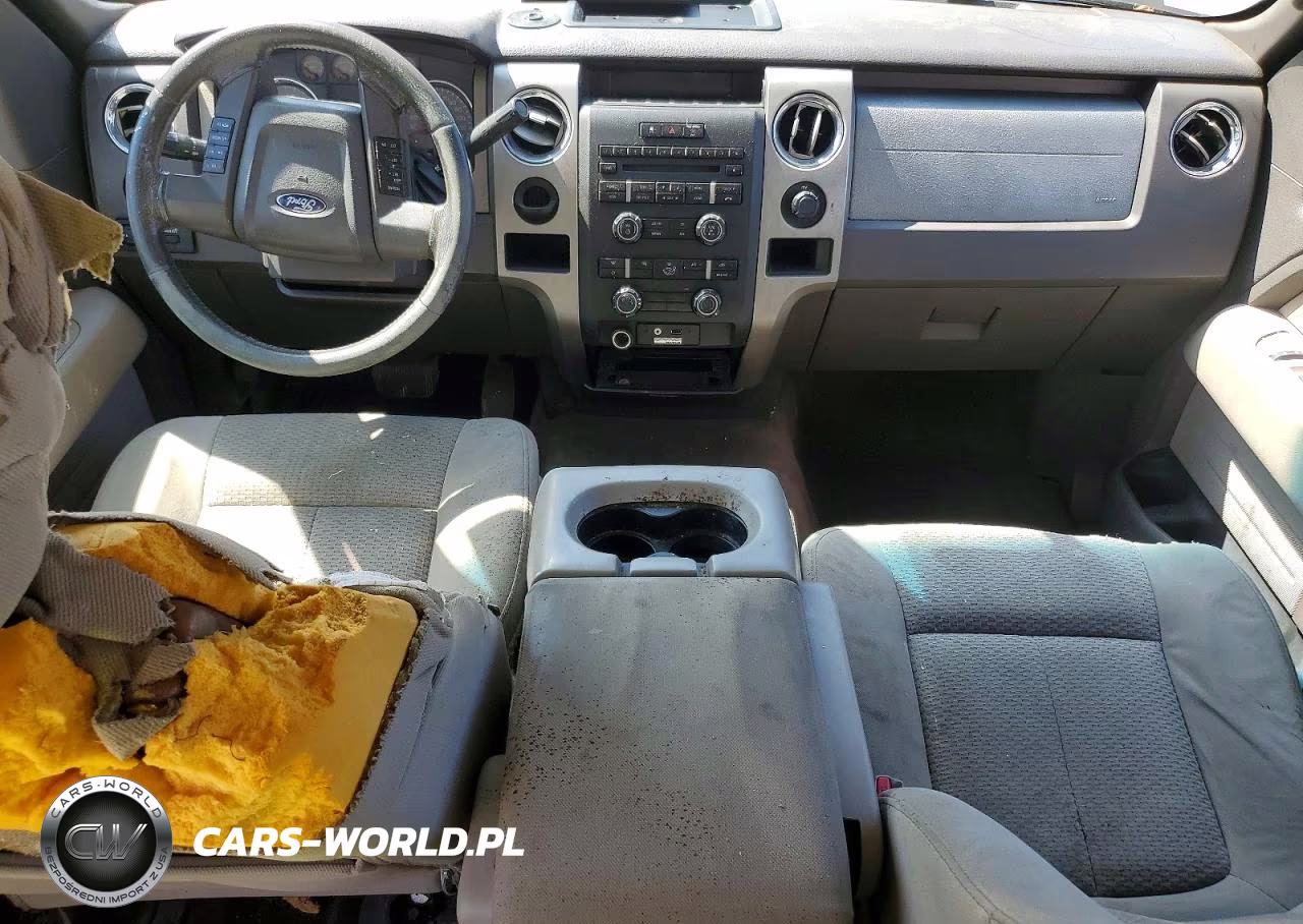 2009 Ford F150 Supercrew VIN:1FTRW12899FA23110 - 8