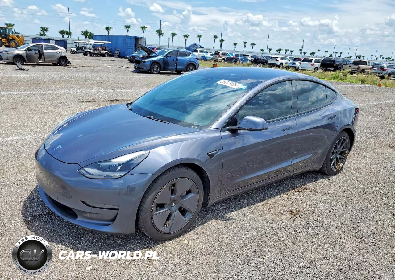 2021 Tesla Model 3 VIN:5YJ3E1EAXMF083076 - 1