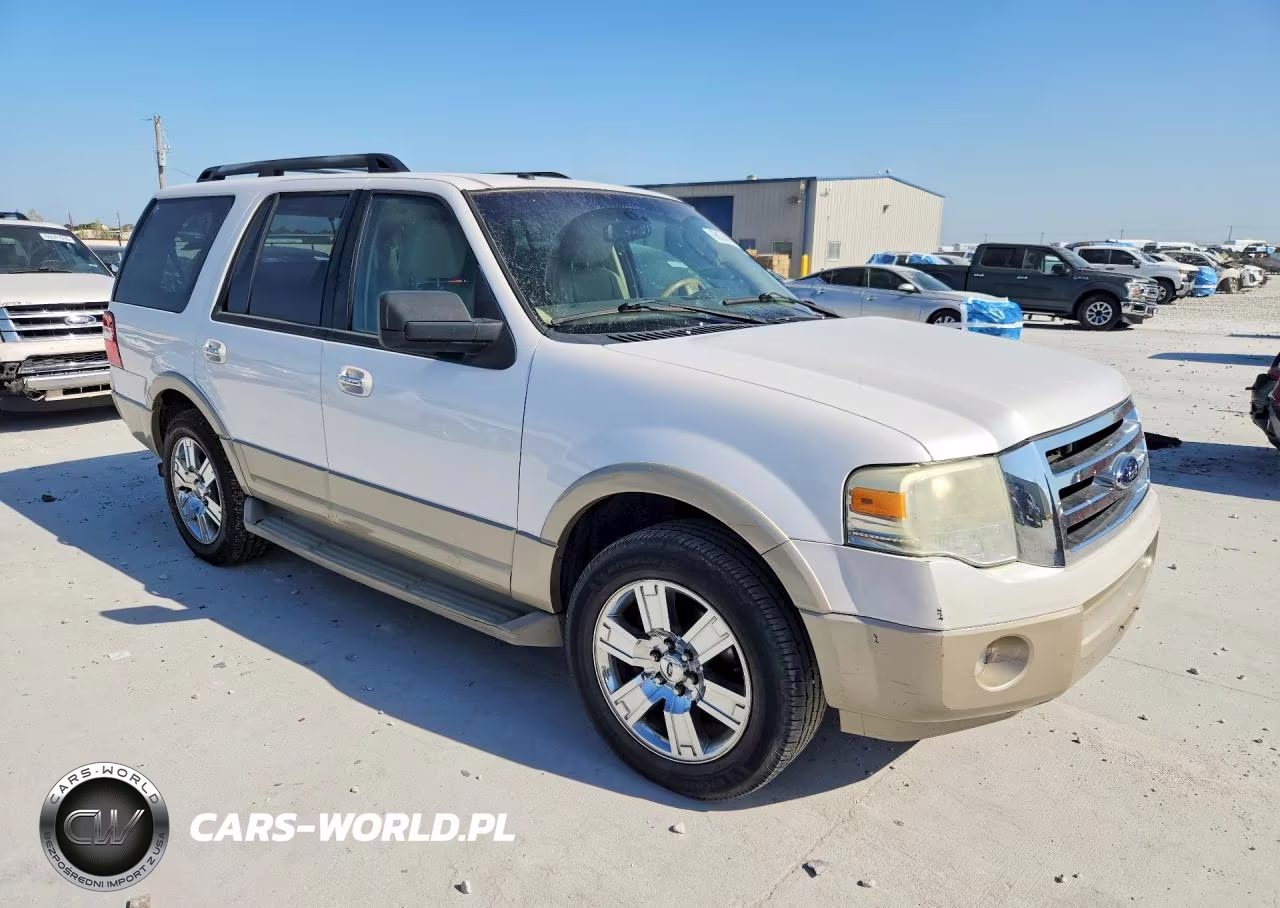 2010 Ford Expedition Eddie Bauer VIN:1FMJU1H53AEA00962 - 4