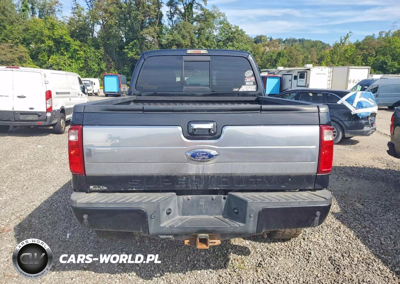 2015 Ford F350 Super Duty VIN:1FT8W3BT9FEB66300 - 10