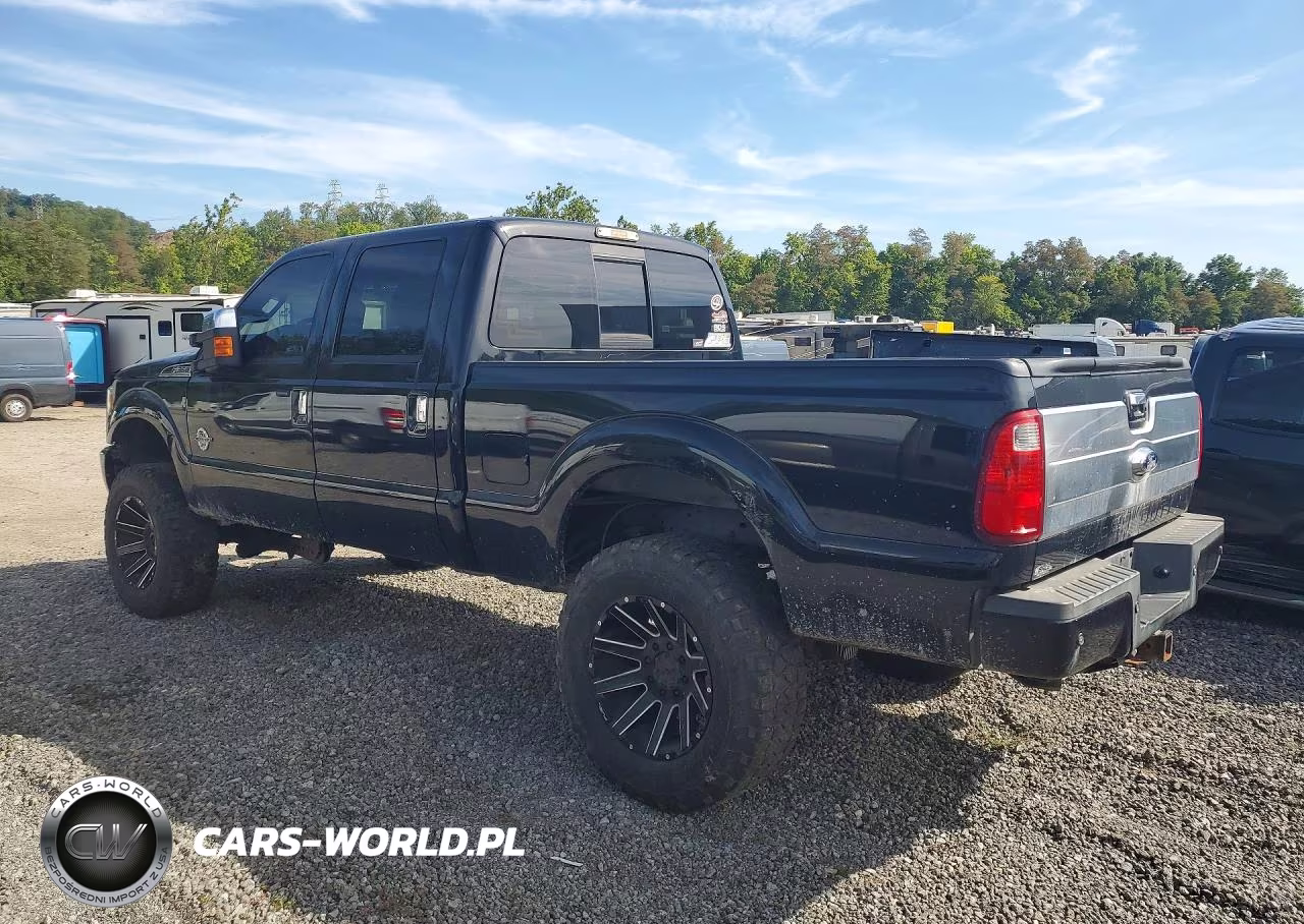 2015 Ford F350 Super Duty VIN:1FT8W3BT9FEB66300 - 2