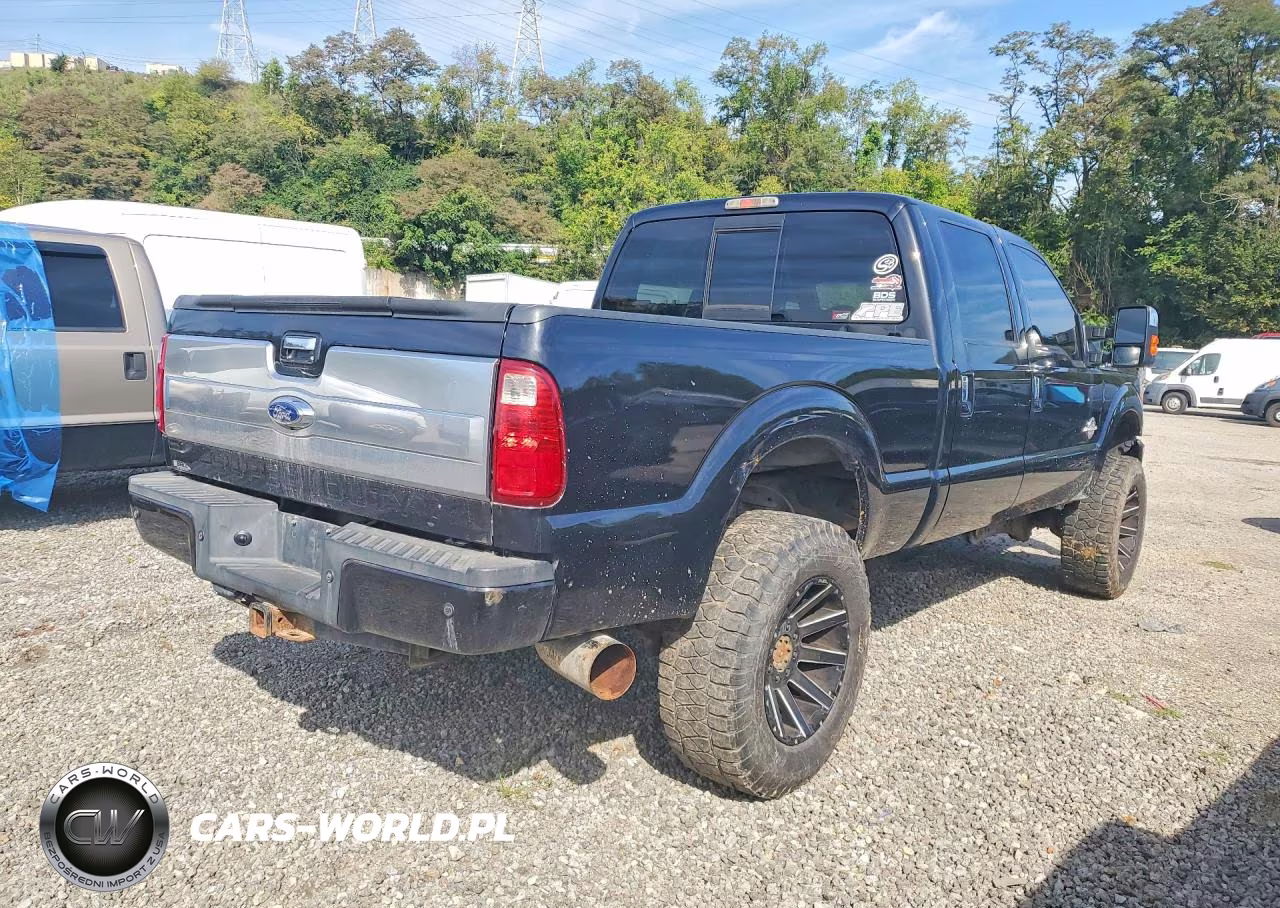 2015 Ford F350 Super Duty VIN:1FT8W3BT9FEB66300 - 3