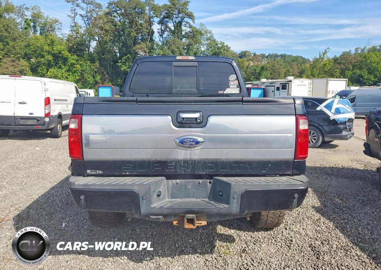 2015 Ford F350 Super Duty VIN:1FT8W3BT9FEB66300 - 6
