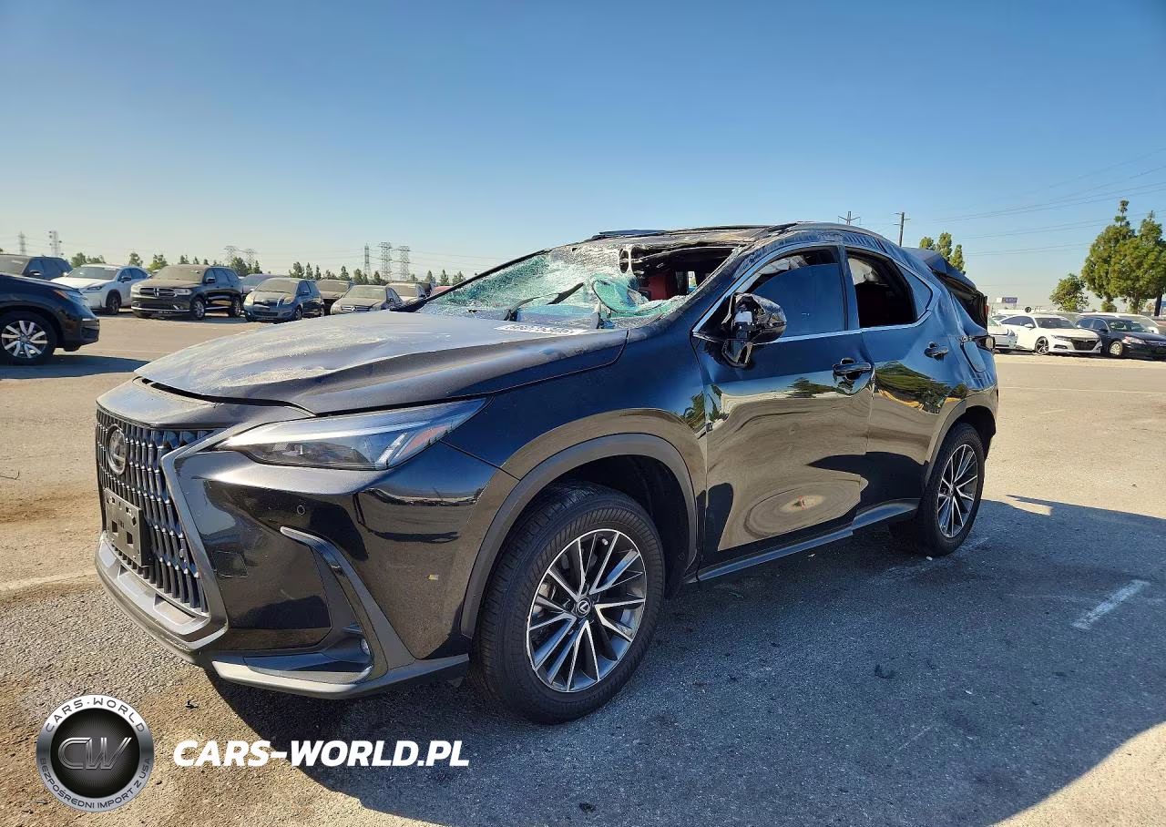 2025 Lexus Nx 250 Premium VIN:2T2GDCAZ4SC020015 - 1