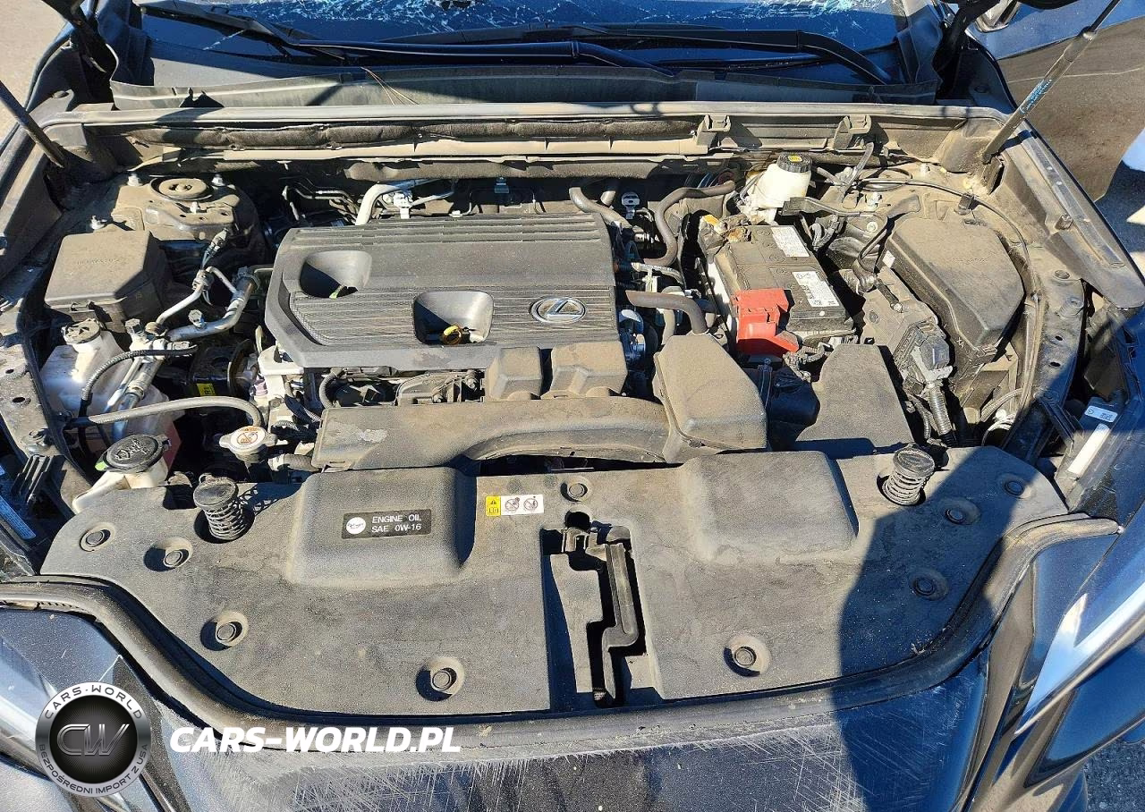 2025 Lexus Nx 250 Premium VIN:2T2GDCAZ4SC020015 - 11