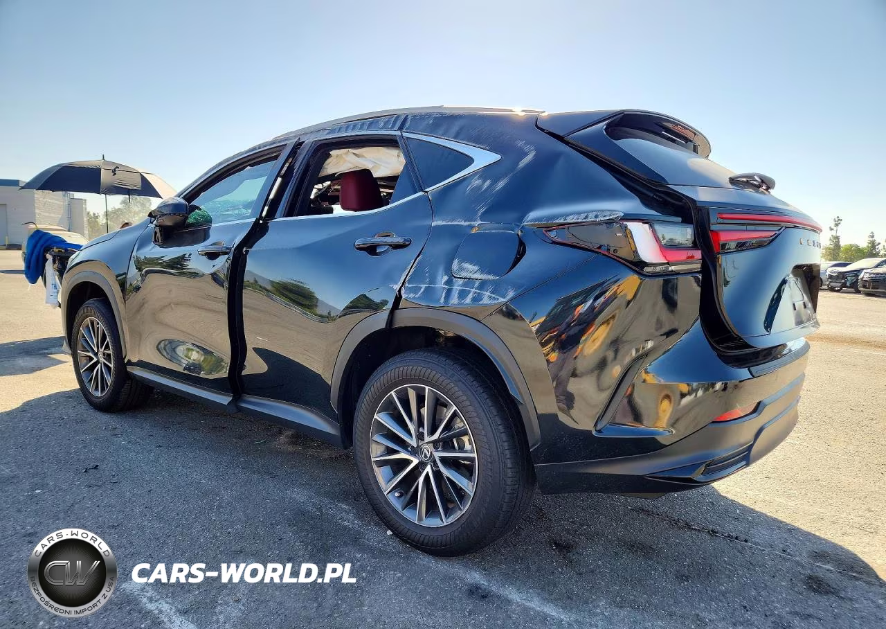 2025 Lexus Nx 250 Premium VIN:2T2GDCAZ4SC020015 - 2