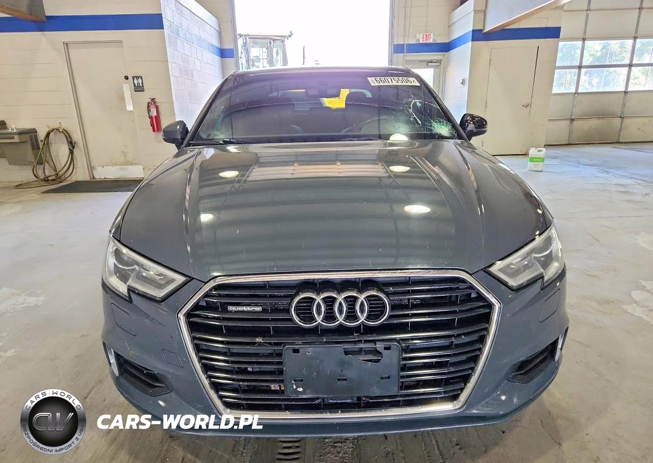 2019 Audi A3 Premium VIN:WAUBEGFF8KA119097 - 5
