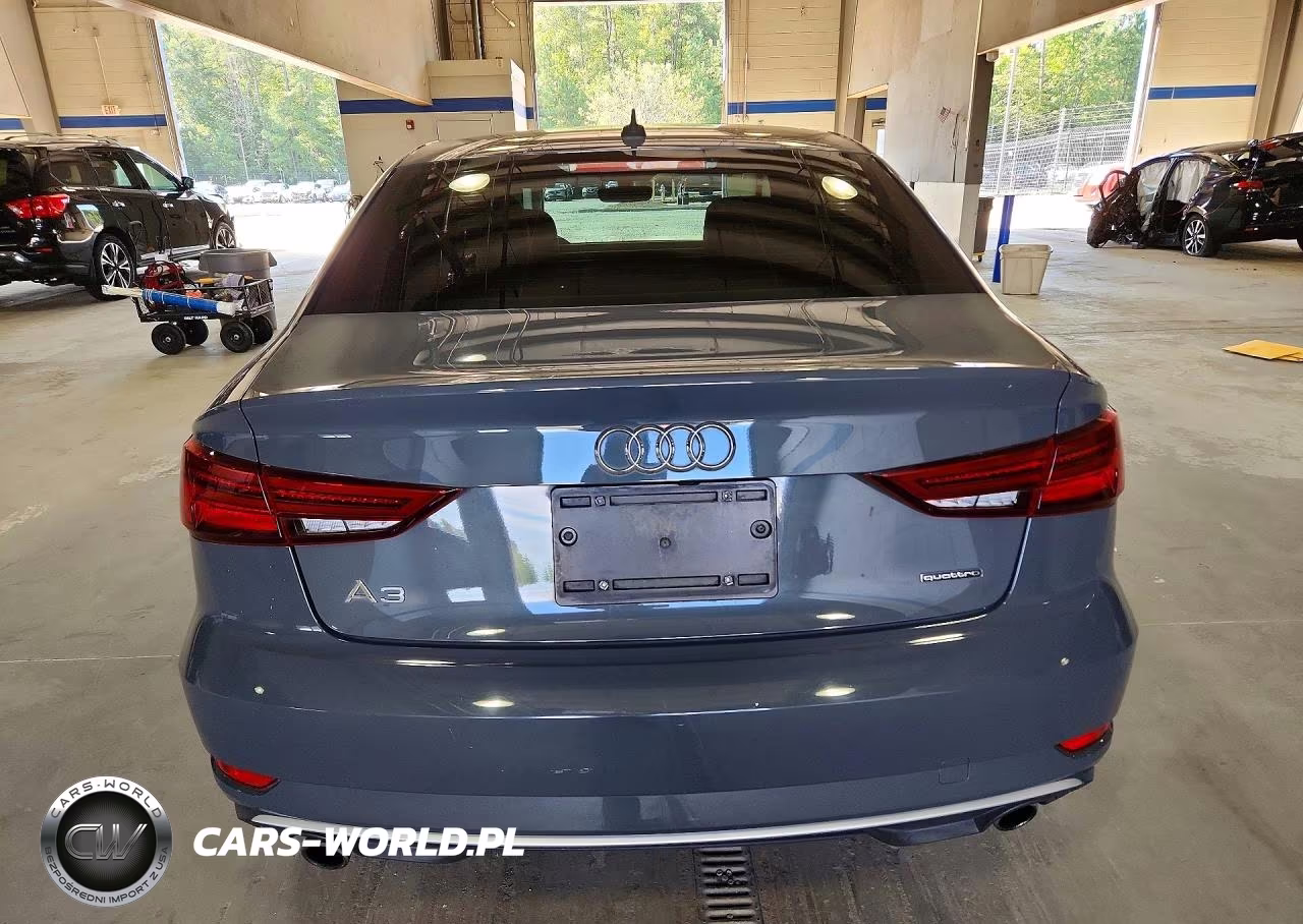 2019 Audi A3 Premium VIN:WAUBEGFF8KA119097 - 6