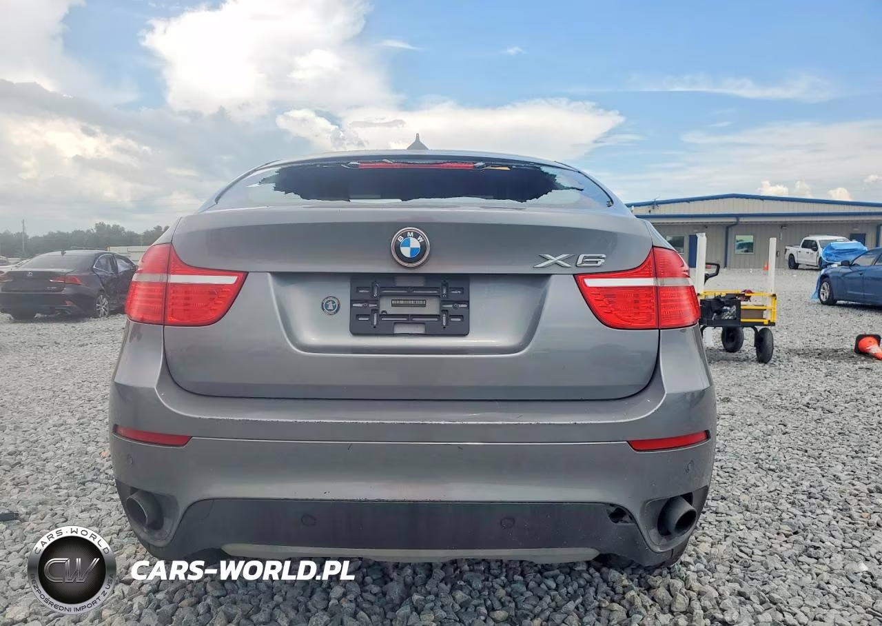 2011 BMW X6 xDrive35I VIN:5UXFG2C56BLX07757 - 6