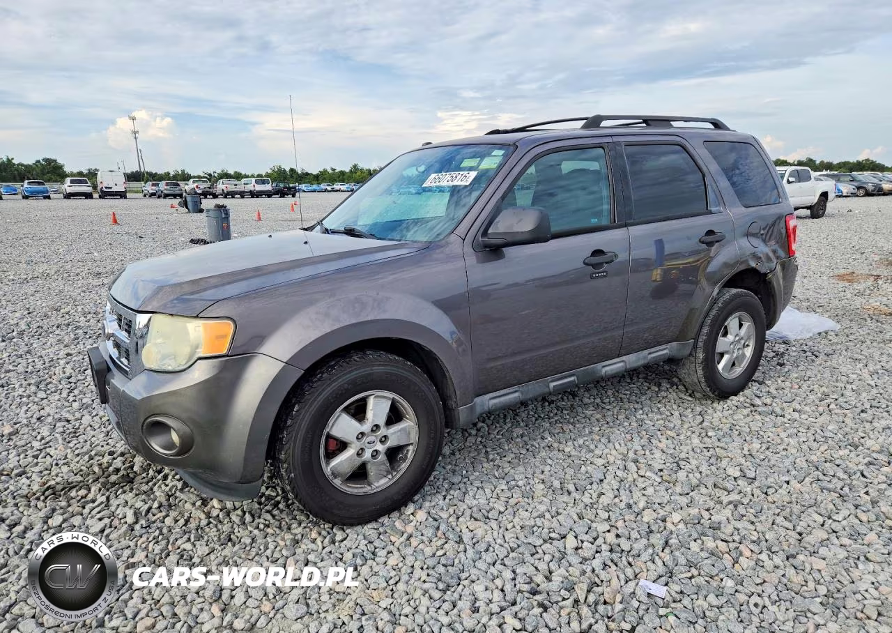2010 Ford Escape Xlt