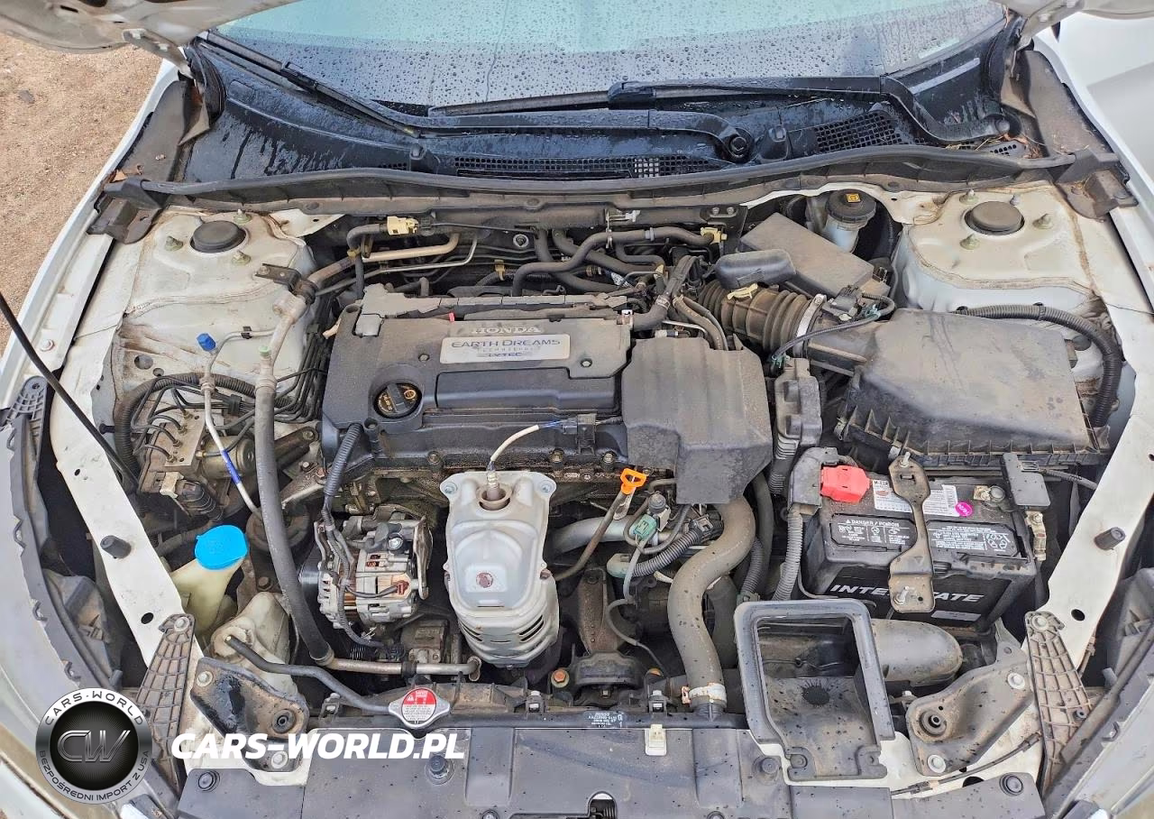 2013 Honda Accord Lx VIN:JHMCR2F36DC000426 - 11