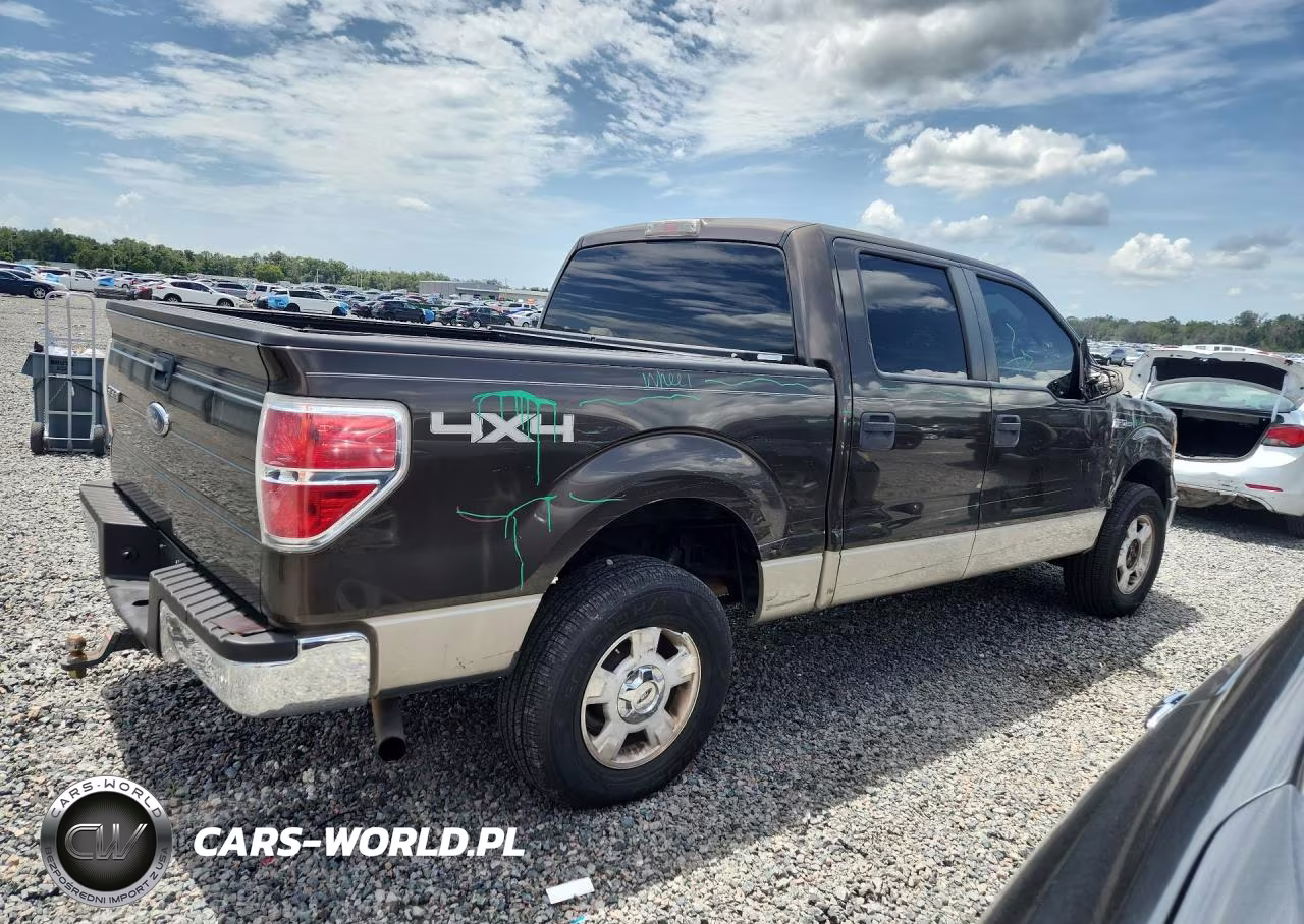 2009 Ford F150 Supercrew VIN:1FTRW14819KC63093 - 3