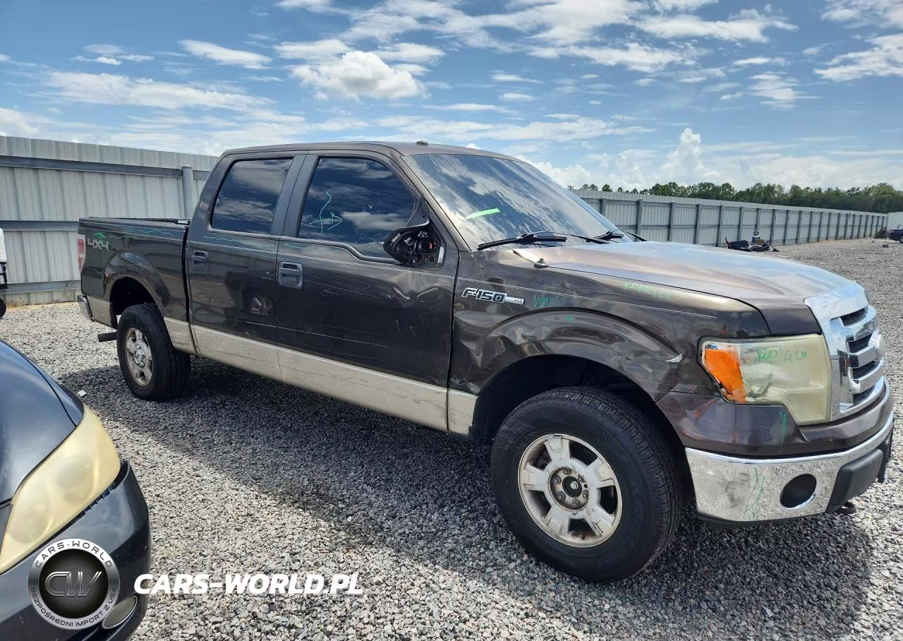 2009 Ford F150 Supercrew VIN:1FTRW14819KC63093 - 4