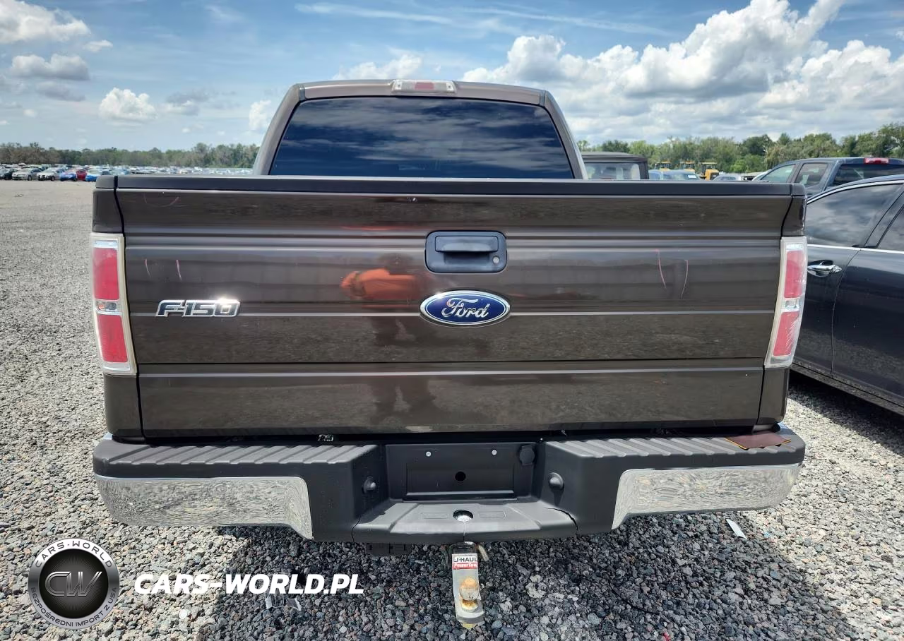 2009 Ford F150 Supercrew VIN:1FTRW14819KC63093 - 6